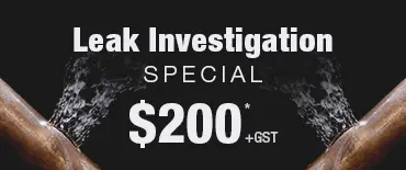 Leak Investigation Discount Māngere